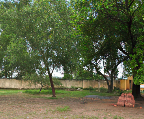 Two rustic wooden houses with tin roofs stand beside a dirt road, surrounded by greenery and trees under a partly cloudy sky.